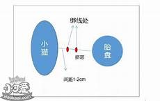 技术规程资料大全技术规程标准规范下载标准分享网